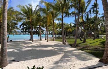 SUNTUOSO ed UNICO FILE RISERVATO Immobile sull'isola di BORA BORA vista mare mozzafiato.