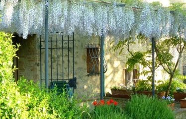 Splendide propriété située à la campagne en toscane