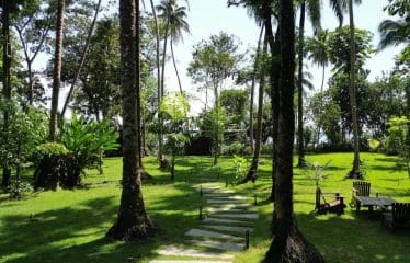 Superbe propriété en bord de mer à vendre à Boipeba-Bahia