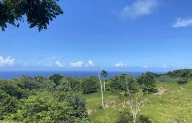 Maison de campagne sereine avec 45 acres de terres agricoles