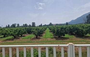 Beautiful House in Santa Lucia di Moriani 10 minutes from the Beaches