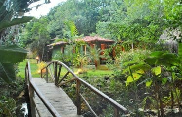 Hôtel de plage écologique à vendre à Barra Grande-Bahia