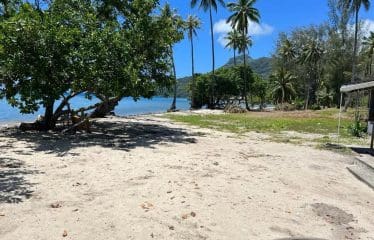 Somptueux terrain constructible unique et dernier pied à Moorea.