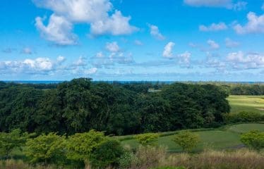 Très beau terrain située à Maurice juste à coter du plus prestigieux parcours de golf