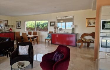 Magnifica proprietà con vista mozzafiato sul mare Golf d'Ajaccio