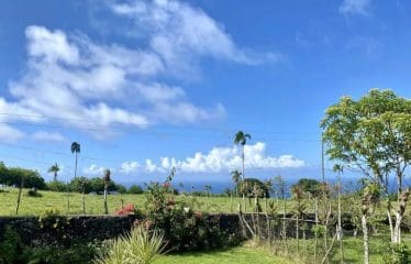 Maison de campagne sereine avec 45 acres de terres agricoles
