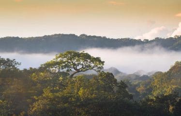 Sanctuaire de la rivière Nosara