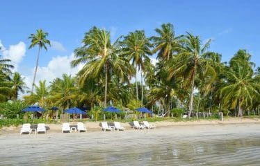 Hôtel-restaurant en bord de mer à Maragogi-Barbade brésilienne