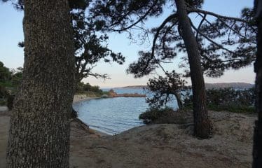 Superb contemporary villa, tastefully designed. Porto-Vecchio