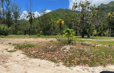 Somptueux terrain constructible unique et dernier pied à Moorea.