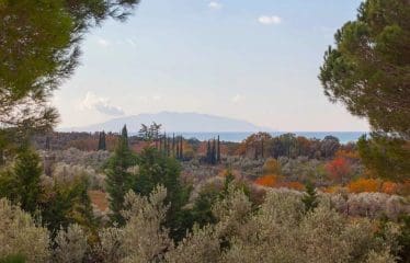 Magnifique Villa avec vue mer sur un grand terrain
