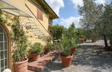 Magnifique Villa avec vue mer sur un grand terrain