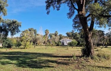 Authentique propriété de campagne située à Prunelli di Fiumorbo