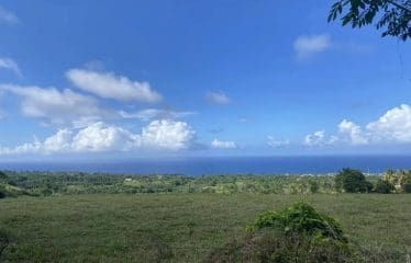 Maison de campagne sereine avec 45 acres de terres agricoles