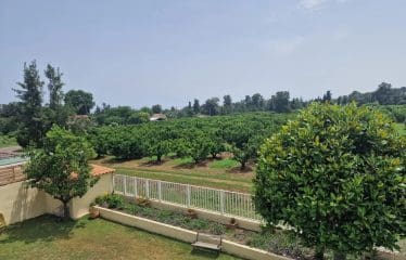Beautiful House in Santa Lucia di Moriani 10 minutes from the Beaches