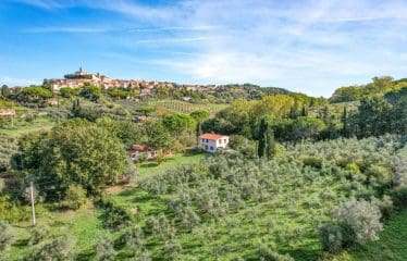 Bellissima villa situata a Montescudaio