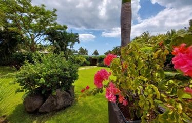 Magnifica proprietà di Anahita