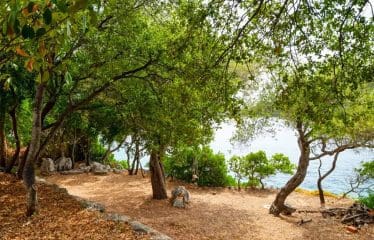 Villa en bord de mer avec amarrage privé