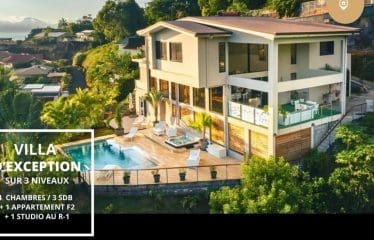 Spectaculaire villa  offrant de magnifiques vues sur la mer PUNAAVIA