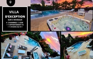 Spectaculaire villa  offrant de magnifiques vues sur la mer PUNAAVIA