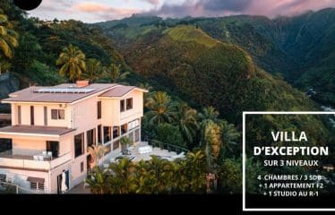 Spectaculaire villa  offrant de magnifiques vues sur la mer PUNAAVIA