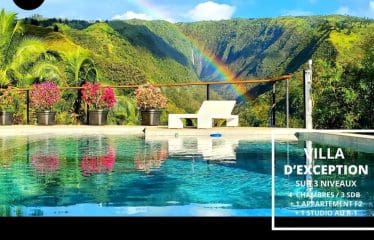 Spectaculaire villa  offrant de magnifiques vues sur la mer PUNAAVIA