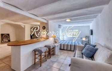 Appartement de caractère avec terrasse panoramique et studio indépendant- Villefranche-sur-Mer —