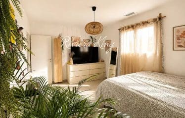 Villa contemporaine 4 chambres à Saint-André-de-Sangonis